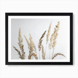 Glorious Golden Pampas Grass Art Pr Framed Wall Art Poster Canvas Print Picture Pampas Grass