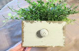 Centerpiece drawer with artificial greeny Green Plant