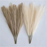 Pampas Grass Decor Tall-Faux Pampas Grass Small 17"-6 Stems-Beige and Taupe-Bro Pampas Grass