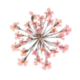 24Pcs Dried Pressed Flowers, Lace Flowers for DIY Making, Light Pink Dried Flower