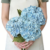 3 Pcs Real Touch Hydrangea Artificial Flowers, Pet-Safe 3D Latex Blue Hydrang... Hydrangea