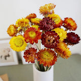 Dried Flowers Bouquet Natural Daisy - 40 PCS Multicolor Daisies Dried Sunflowers Sunflower