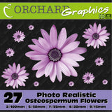 27 Osteospermum Gerbera Daisy Flower Car Stickers Vinyl Decal Bedroom Wall Art Daisies