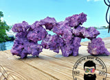 50 lbs Purple Coraline Med/Lrg Dry Reef Base Rock, Lightweight, Porous, Live Anemone