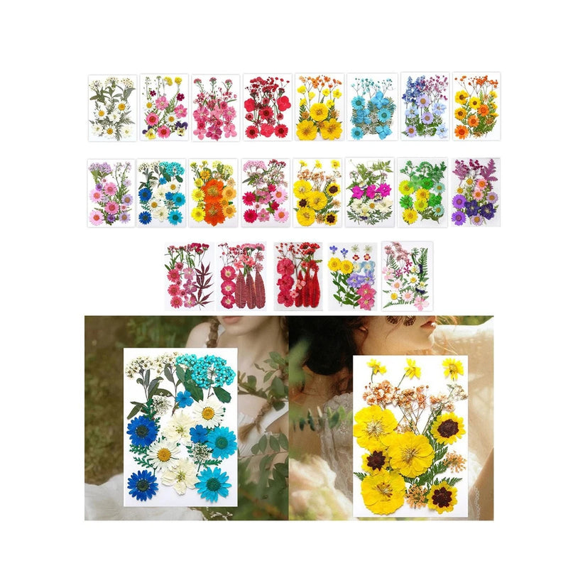Dried Pressed Flowers Craft Making Dry Flower Makeup Stickers Dry Pressing Dried Flower