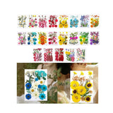 Dried Pressed Flowers Craft Making Dry Flower Makeup Stickers Dry Pressing Dried Flower