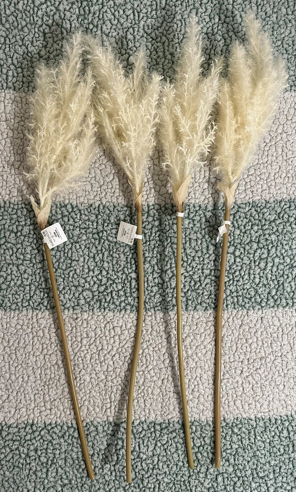 STEM PAMPAS GRASS For indoor decorative use Lot Of 4 Pampas Grass