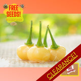 Fresh Hot Peach Charapita Pepper Seeds | Heirloom Non-GMO | 10 Vegetable Seeds Garden Plants