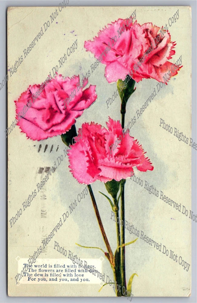 Antique 1909 postcard showing pink carnation bouquet with vintage script text