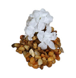 1" tall MINI White silk FLOWER Betta Bowl plant, Stone Base, Goldfish & Betta-sa Flowering Plants