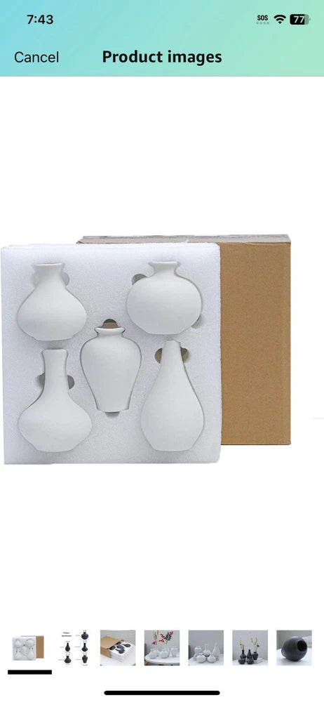 Small Black Vases Ceramic Bud Vase Set Of 5 Mini Pottery Vases For Pampas Grass Pampas Grass