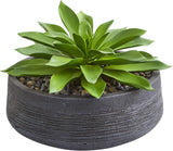 Large Artificial Succulent Plant in Decorative Bowl - Lush Green Decor Green Plant