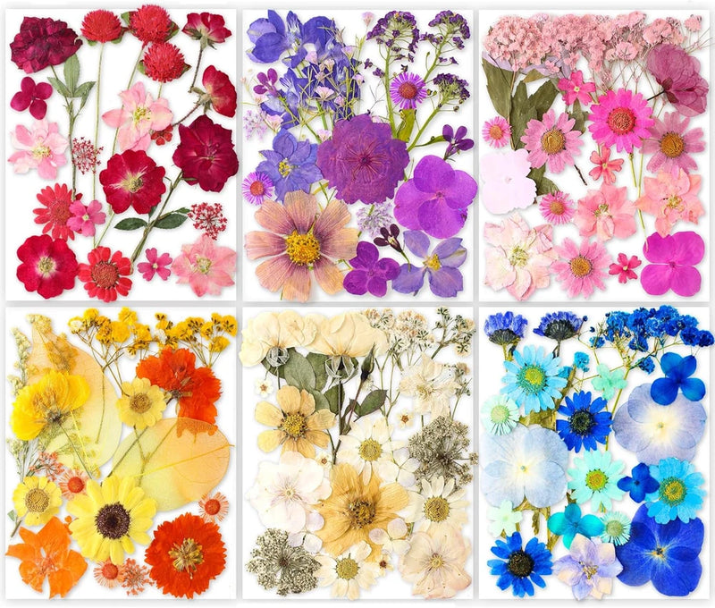 Pressed dried flower assortment sheet with red, pink, purple, yellow and blue blooms