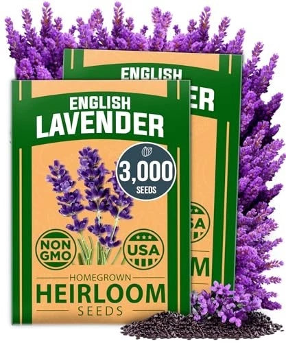 2-Pack Non GMO English Lavender Seeds 3,000+ Wildflower Seed for Planting Garden Plants