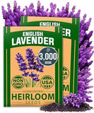2-Pack Non GMO English Lavender Seeds 3,000+ Wildflower Seed for Planting Garden Plants