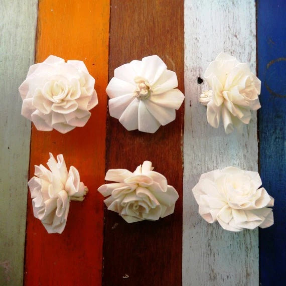 White sola wood diffuser flowers, layered petals with center, decorative craft accents