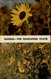 Sunflower State Flower of Kansas vintage postcard f570 Sunflower