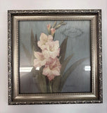 DAIHUI Gladiola August Real Dried Flower Shadow Box Framed Wall Art 9.5x9.5 Dried Flower