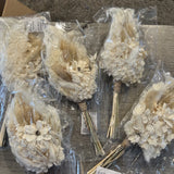 Mini Dried Flower Bouquet, 5 Pcs Pampas Grass Natural Wildflower w/ Stem Pampas Grass