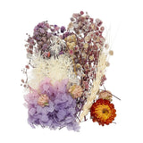 NaturalÊDriedÊFlowerÊSet,ÊDriedÊPressedÊFlowers (Purple) Dried Flower