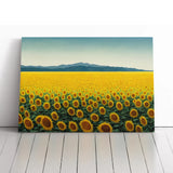 Extraordinary Sunflower Field Canvas Wall Art Print Framed Picture Home Decor Sunflower