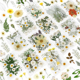247 Pcs Dried Flowers Crafts Real Natural Pressed Yellow White Resin Art Dried Flower