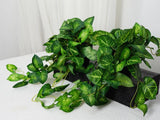 2 Fake Pothos Hanging Plants Artificial Pothos Plant with Pots Faux Hanging P... Green Plant