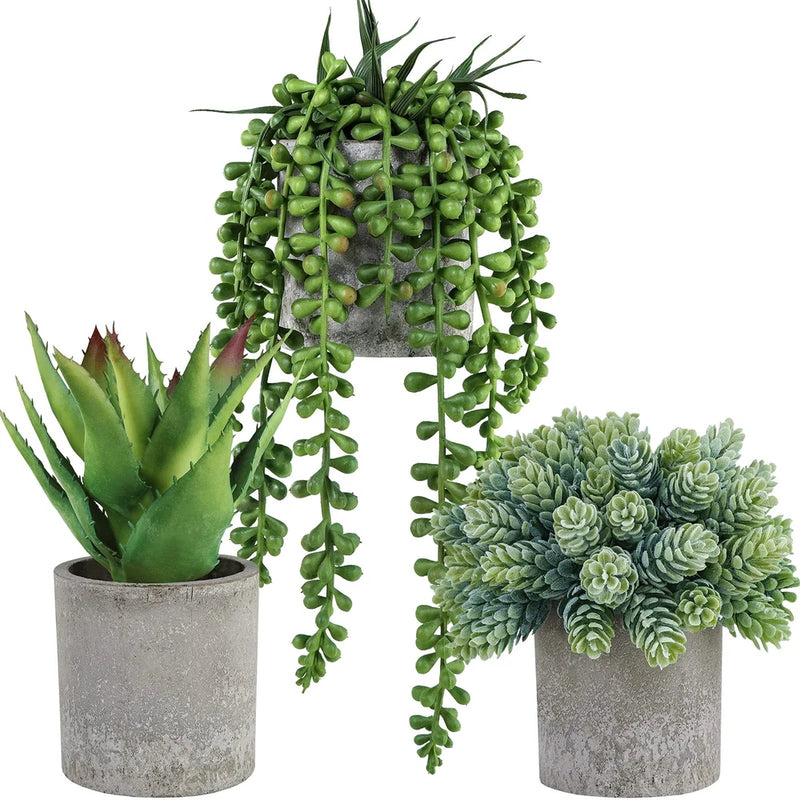 Set of 3 Mini Potted Succulents Artificial String of Pearls Aloe Hops Succule... Green Plant