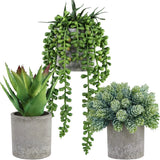 Set of 3 Mini Potted Succulents Artificial String of Pearls Aloe Hops Succule... Green Plant