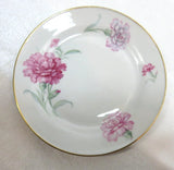 Vintage 1969 Tirschenreuth Bread Butter Dessert Plate Bavaria Germany Carnation Carnation