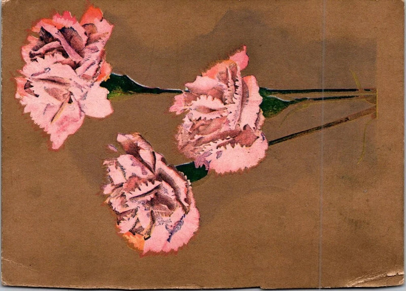 Vintage 1912 Pink Carnation Flower Postcard with Handwritten Message Carnation
