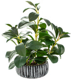 Artificial Succulents Plants Decor Greenery Fake Succulents Indoor Potted Fak... Green Plant