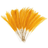 50 Pcs Faux Pampas Grass 52cm/20.5" Dried Pampas Grass Decor, Gold Yellow Pampas Grass