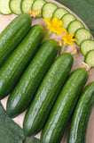 50+ MARKETER CUCUMBER SEEDS NON-GMO FRESH YOUR GARDEN Garden Plants