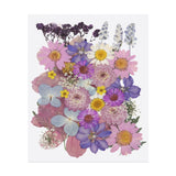35 Pcs Dried Pressed Flower Leaves Bulk for Resin, Dark Purple Dried Flower