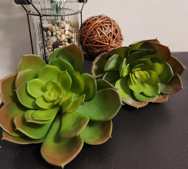 Pier 1 Succulents Set Of 2 Artificial Flowers Brand New 6" Diameter Green Plant