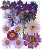 Purple Dried Pressed Flowers Real Natural Petals Bulk for Scrapbooking Art Craft Dried Flower