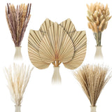 Dried Pampas Grass 105pc Natural Palm Leaves Bunny Tails Wedding Boho Decor Pampas Grass