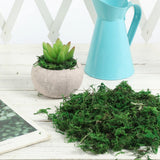 Green Moss Artifical Terrarium Accessories Decorative Fake Artificial for Craft Green Plant