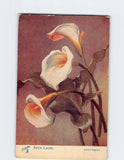 Arum lilies floral postcard with white blooms and orange throats on burgundy background