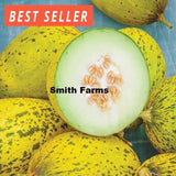 10+ Seeds Whatamelon Melon Easy to Grow Vegetable Garden Planting Edible Garden Plants
