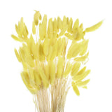 120pcs Natural Bunny Tails Dried Flowers 24" Mini Pampas Grass, Lemon Yellow Pampas Grass