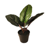 Calathea Prayer Plant Ashland Artificial Plant Decor Potted Plant Green Plant