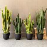 Artificial Potted Tropical Large Snake Plants Sansevieria Leaves For Home Decor Green Plant