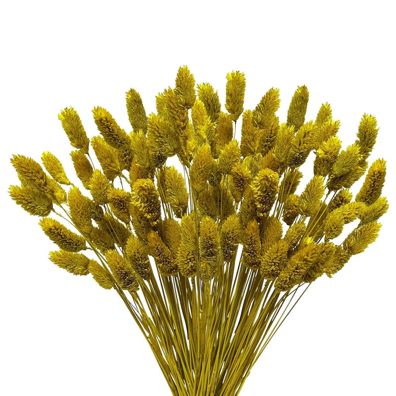120pcs Boho Pampas Grass Spring 17" Bunny Tails Gem Grass Flower Bouquet for ... Pampas Grass