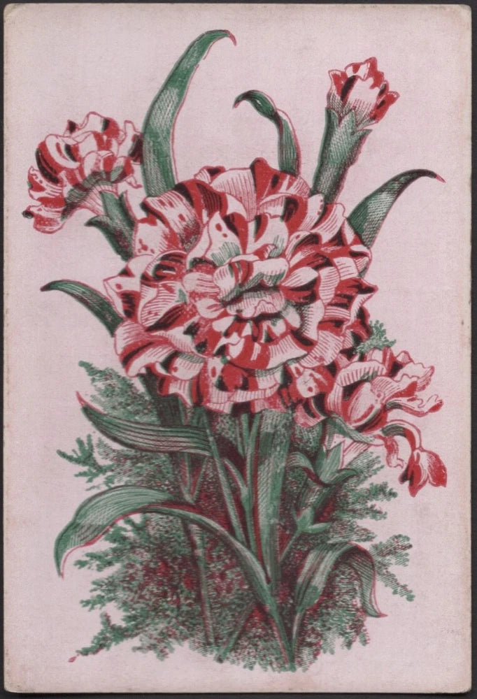 Playing Cards 1 Single Card Old Antique Wide Square Corner CARNATION FLOWERS Art Carnation