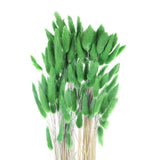 120pcs Natural Bunny Tails Dried Flowers 24" Mini Pampas Grass, Dark Green Pampas Grass