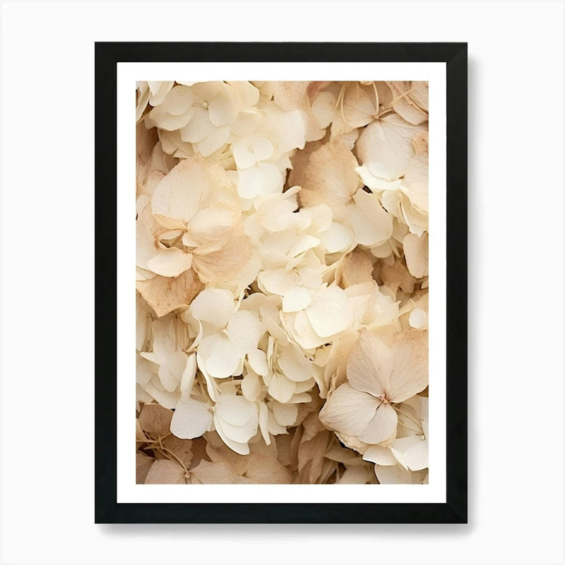 Framed boho dried hydrangea wall art with cream white flower petals, black border frame