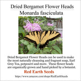 Dried Wild Bergamot Flower Heads - (.1 ounce) - Monarda fistulosa Dried Flower