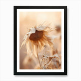 Boho Dried Flowers Sunflower 1 Art  Framed Wall Art Poster Canvas Print Picture Sunflower